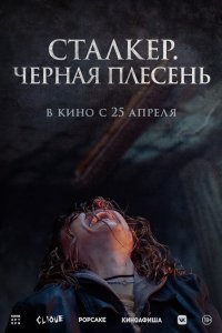 Чёрная плесень